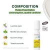 Pranarôm Aromapic Duo Roller Après-Piqûres Bio - Gel Apaisant et Rafraîchissant aux Huiles Essentielles