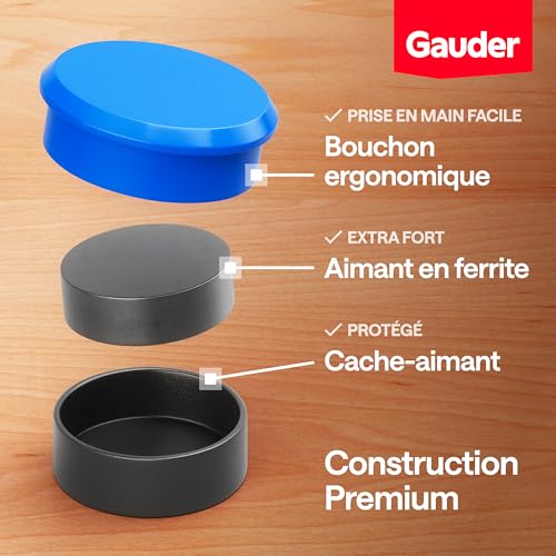 GAUDER Aimants Puissants Frigo et Tableau Blanc Magnétique - Lot de 12 pièces Multicolores (31 x 10 mm)