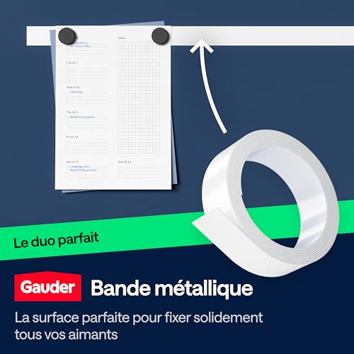 GAUDER Aimants Puissants Frigo et Tableau Blanc Magnétique - Lot de 12 pièces Multicolores (31 x 10 mm)