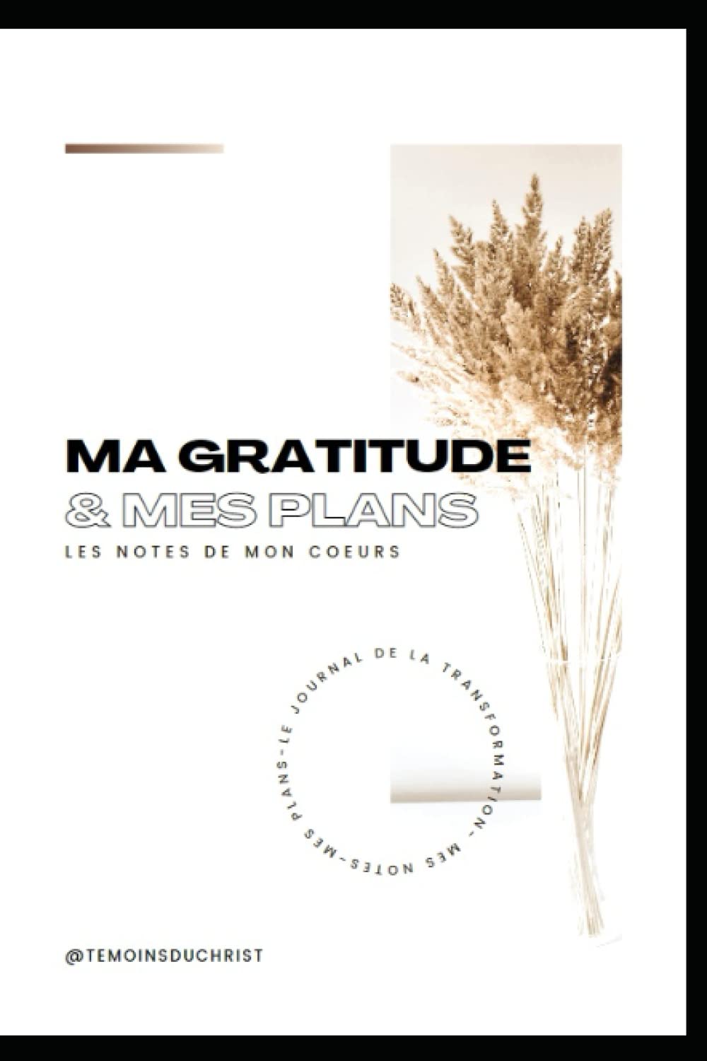Carnet de Gratitude : Outil de Méditation et d'Étude Biblique Illustré