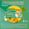 Euphytose Stress Concentration - Complément alimentaire aux plantes adaptogènes pour le mental - 3 mois