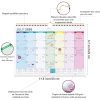 Calendrier Familial Mural A4 2026-2027 : Organiseur Mensuel avec Bobine et Autocollants de Planification