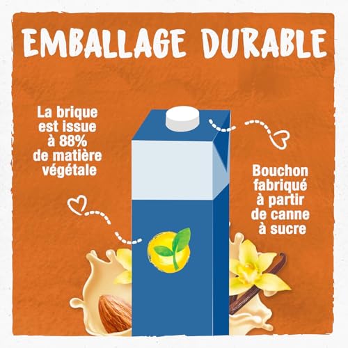 BJORG Lait d'Amande Vanille Bio - Boisson Végétale Pauvre en Acides Gras Saturés - Pack de 6 x 1L