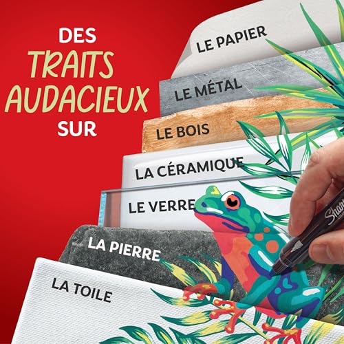 Sharpie Creative Marker - Lot de 12 Marqueurs Peinture Acrylique, Pointe Ogive, Encre à Base d'Eau Sans Bavure