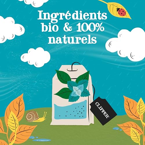 CLIPPER Thé Vert Menthe Bio - 50 Sachets - Infusion Naturelle et Délicieuse