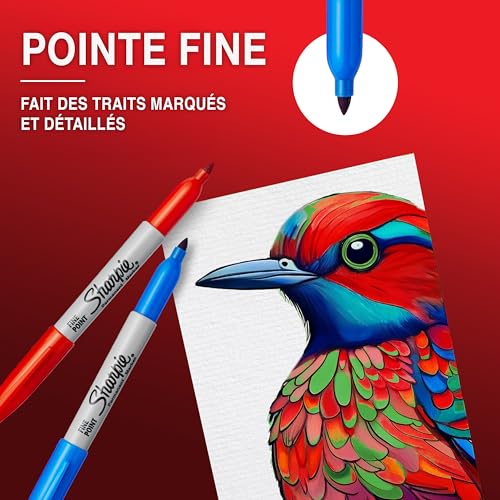 Sharpie Marqueurs Indélébiles Pointe Fine Noir - Pochette de 12