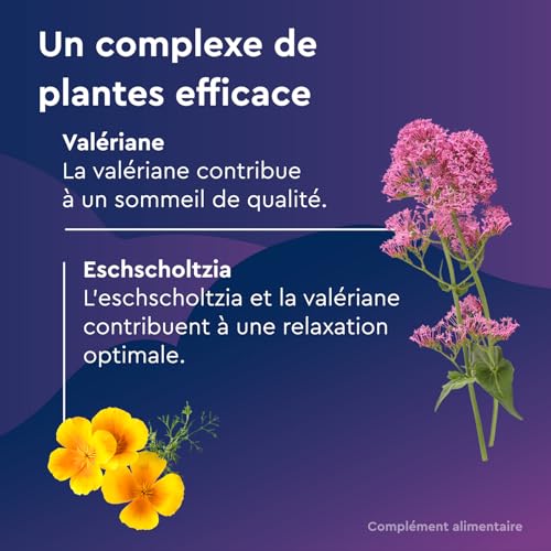 Euphytose Nuit LP Mélatonine 1,9 mg - Complément Alimentaire Sommeil Adulte - Favorise l'Endormissement et la Qualité du Sommeil - Libération Prolongée 8H - Valériane - 45 Nuits