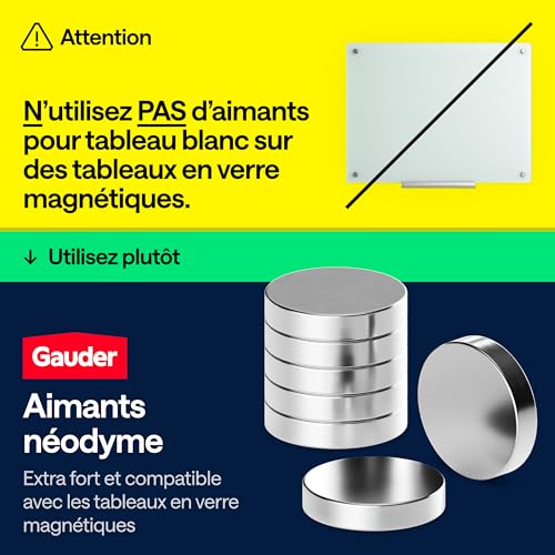 GAUDER Aimants Puissants pour Tableau Blanc et Réfrigérateur - Disques Magnétiques Noirs (100 pièces, 12 x 5 mm)