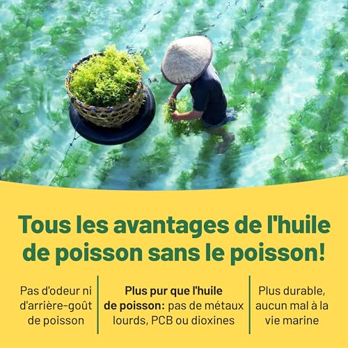 Omega 3 Vegan : Huile d'algues haute concentration DHA (400mg/capsule) - 60 capsules pour 2 mois - Alternative végétale au foie de morue