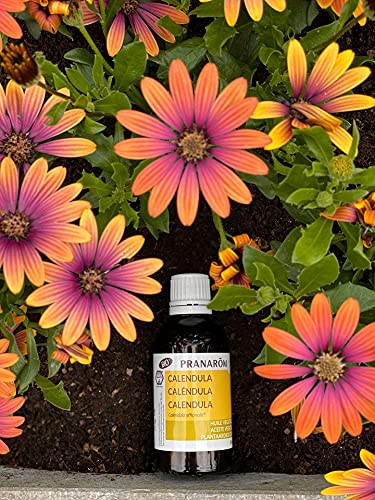Pranarôm Huile Végétale Bio de Calendula (Calendula Officinalis) - Soin Apaisant pour Peaux Sensibles et Bébé - 50 ml
