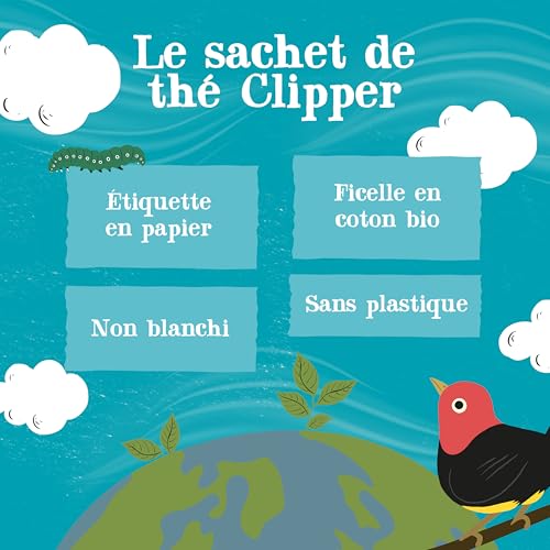 CLIPPER Thé Vert Menthe Bio - 50 Sachets - Infusion Naturelle et Délicieuse