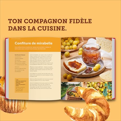 Le grand livre WECK de la conservation : principes, recettes et astuces pour la mise en conserve et la fermentation