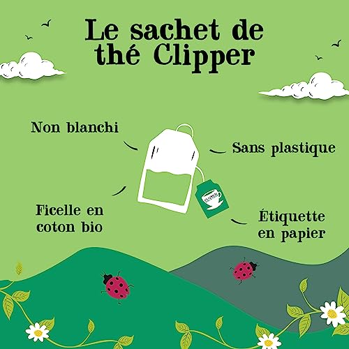 CLIPPER Coffret Découverte Thé Bio - 6 Saveurs Uniques, 60 Sachets - L'Essentiel du Thé Naturel et Éthique