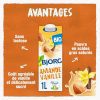 BJORG Lait d'Amande Vanille Bio - Boisson Végétale Pauvre en Acides Gras Saturés - Pack de 6 x 1L