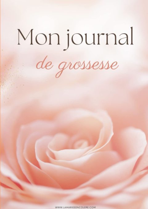 Journal de Grossesse : Vivez vos 9 mois sereinement et avec humour