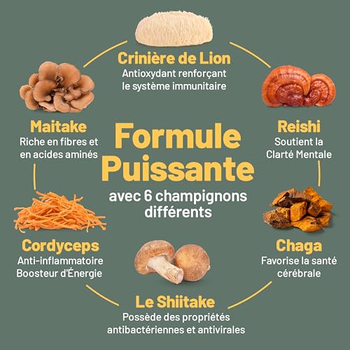 Suppléments Champignons 6 en 1 : Reishi, Lion's Mane, Cordyceps, Chaga, Shiitake, Maitake - 120 Capsules Végétales