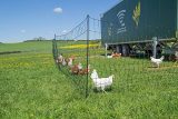 Filet de Volaille Non Électrifié 50m - Hauteur 1.2m - Clôture Invisible pour Jardin et Prairies