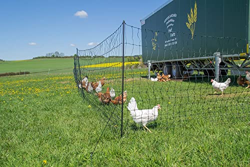 Filet de Volaille Non Électrifié 50m - Hauteur 1.2m - Clôture Invisible pour Jardin et Prairies