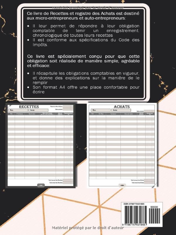 Livre de Compte Recette Dépense : Carnet de Tenue de Compte Conforme aux Obligations Comptables des Micro BIC - Micro BNC | Cahier Facile à Remplir | Design Noir Doré et Rose