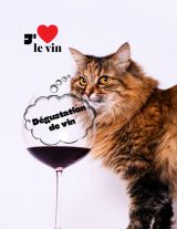 Cahier de Dégustation de Vin : Carnet Détaillé pour Amateurs et Experts