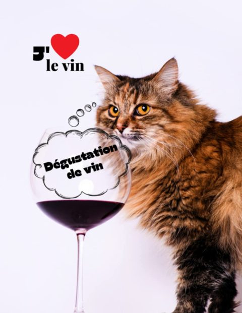 Cahier de Dégustation de Vin : Carnet Détaillé pour Amateurs et Experts