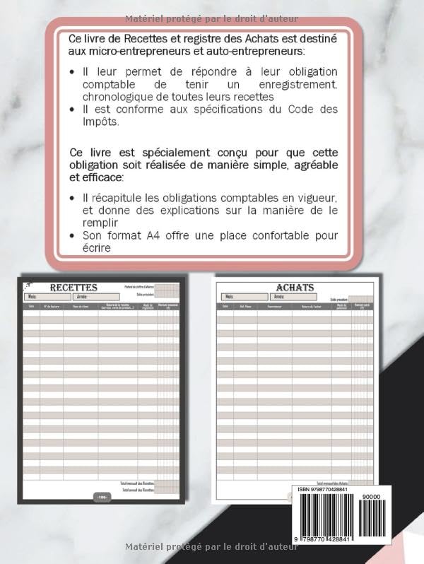 Livre de Compte Recette Dépense : Carnet de Tenue de Compte Conforme aux Obligations Comptables des Micro BIC - Micro BNC | Cahier Recette Dépense Simple et Facile à Remplir