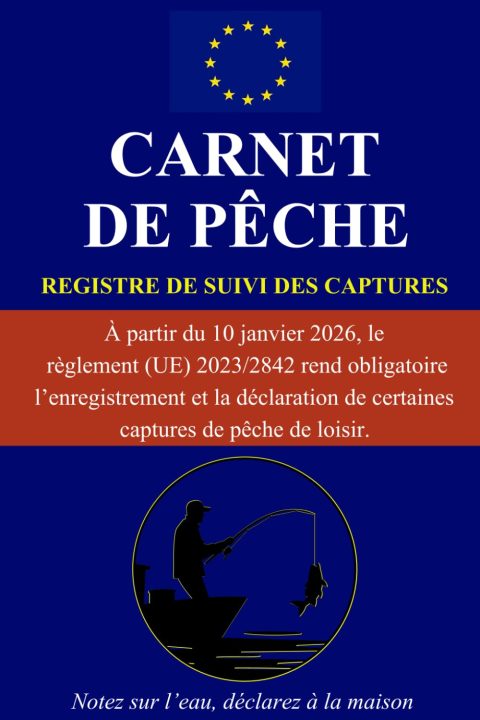 Carnet de Pêche : Registre de Suivi des Captures pour 100 Sorties - Notes sur Lieux, Météo, Espèces et Conditions
