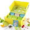 CLIPPER Coffret Découverte Thé Bio - 6 Saveurs Uniques, 60 Sachets - L'Essentiel du Thé Naturel et Éthique