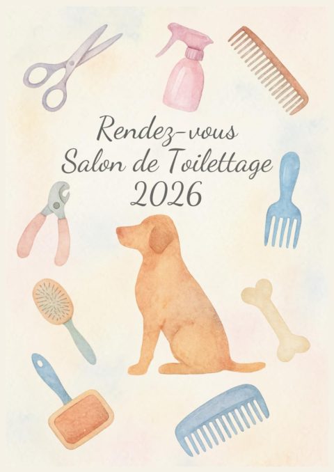 Carnet de Rendez-vous Toilettage 2026 : Agenda Professionnel pour Salon Canin et Félin - Planification Quotidienne et Hebdomadaire - Format A4
