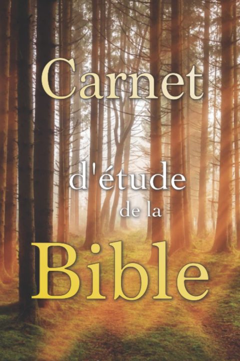 Carnet d'étude de la Bible: Journal personnel pour noter vos réflexions sur les versets bibliques