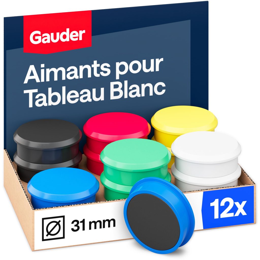 GAUDER Aimants Puissants Frigo et Tableau Blanc Magnétique - Lot de 12 pièces Multicolores (31 x 10 mm)